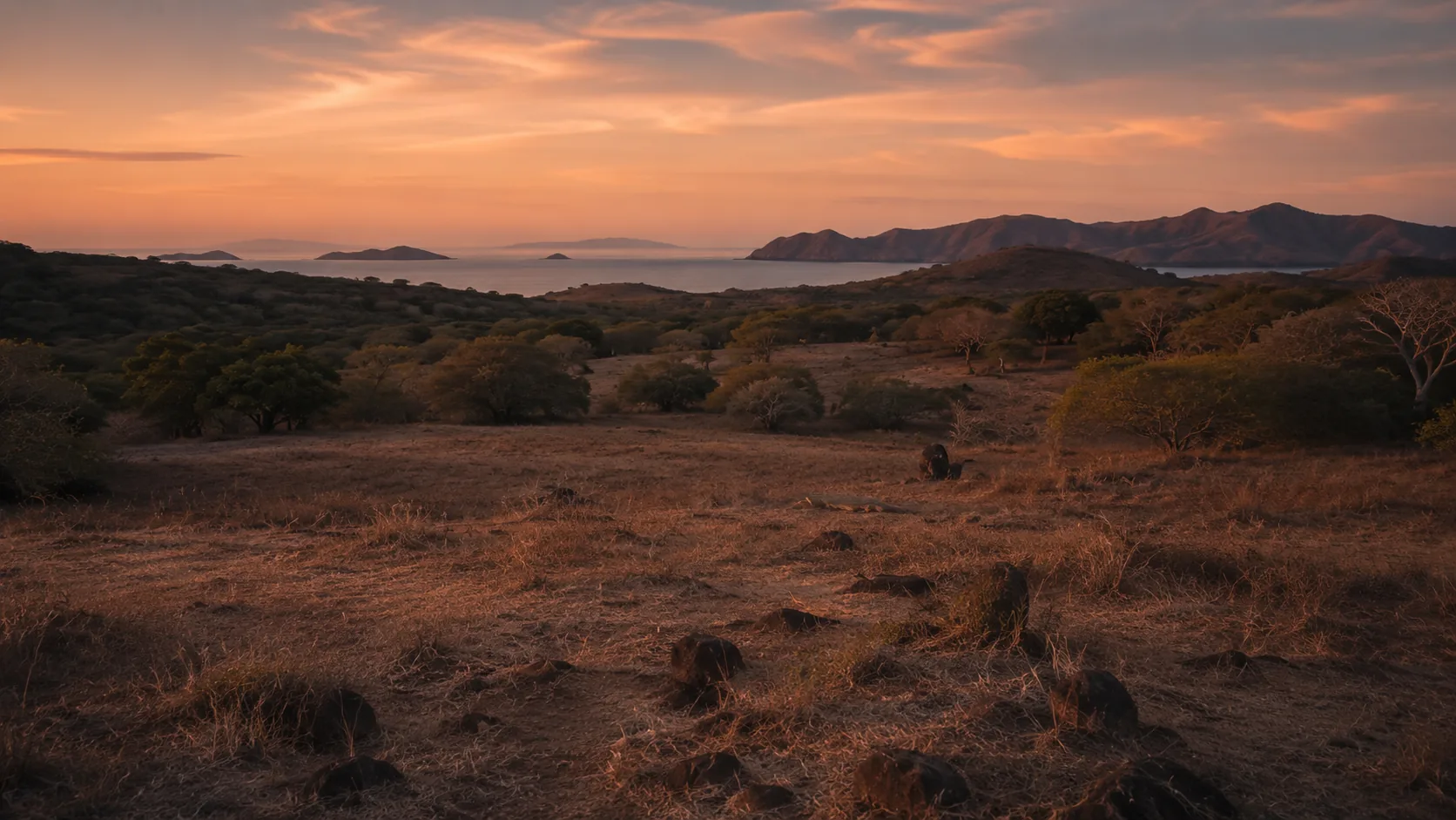 Komodo dragon habitat at dusk, evoking the breeding season